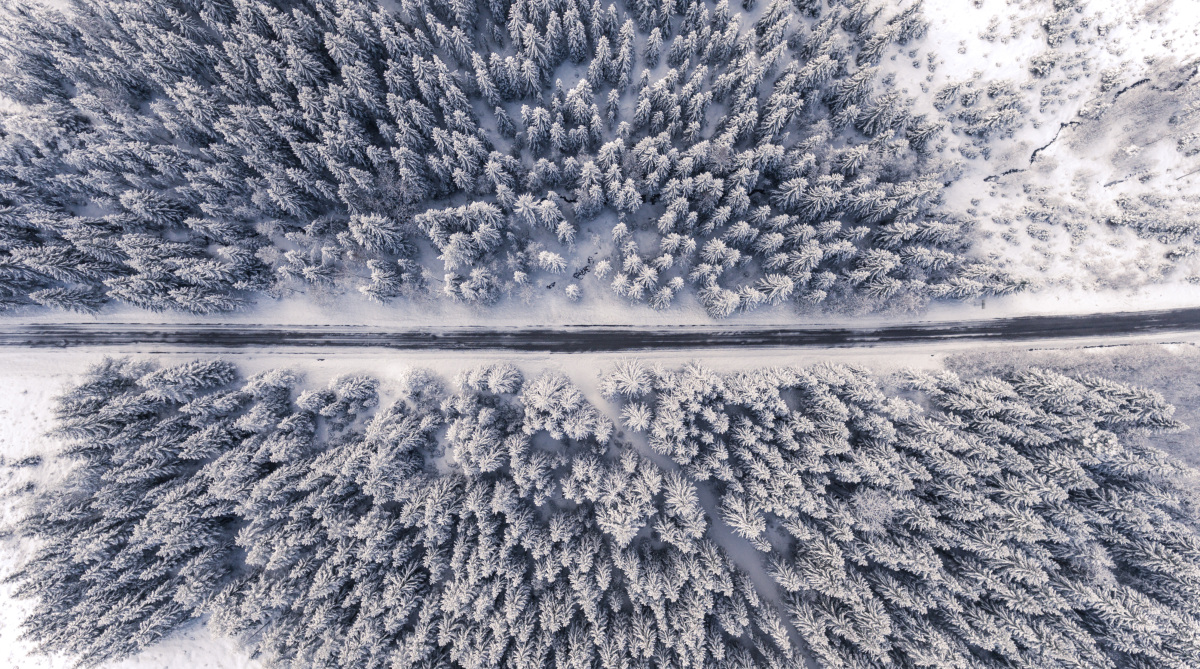 Bildet er tatt ovenfra. Vi kan se en bilvei som går gjennom en skog. Trærne er snødekte og det er snø på bakken. Foto